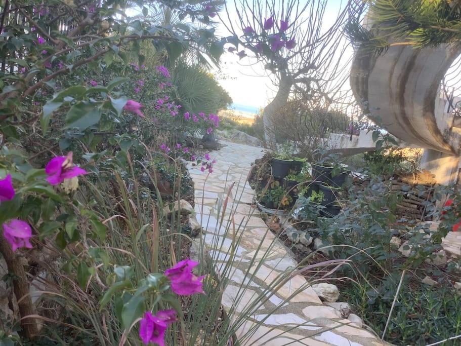 Luxe Met Tuin Benidoleig